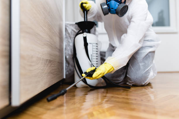 Best Affordable Pest Control Services  in Philipsburg, MT