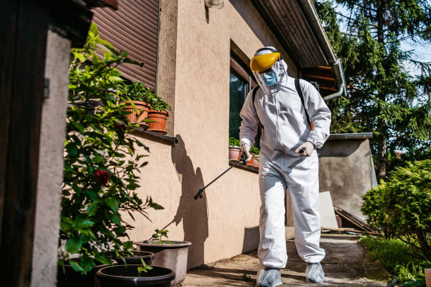 Best Commercial Pest Control Services  in Philipsburg, MT