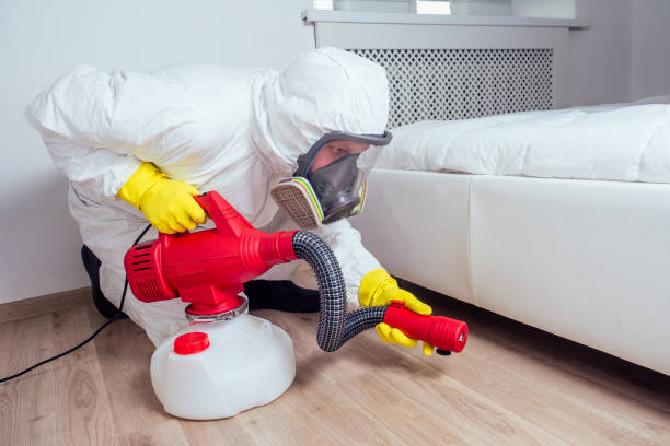 Best Pest Prevention Services  in Philipsburg, MT