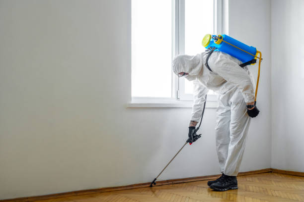 Best Best Pest Control Companies  in Philipsburg, MT